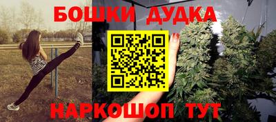 сатива Новоалександровск
