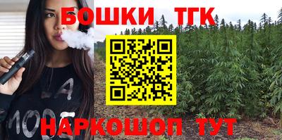 гашик Кулебаки