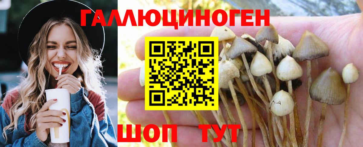 закладка  Псилоцибиновые грибы мухоморы  Галлюциногенные грибы мухоморы  Вход с VPN  Каспийск 