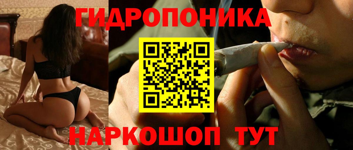 Бошки Шишки семена Каспийск